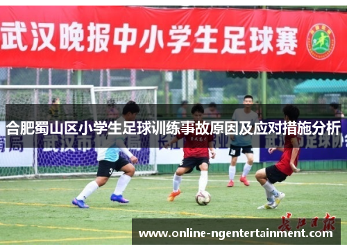 合肥蜀山区小学生足球训练事故原因及应对措施分析