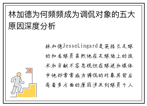 林加德为何频频成为调侃对象的五大原因深度分析