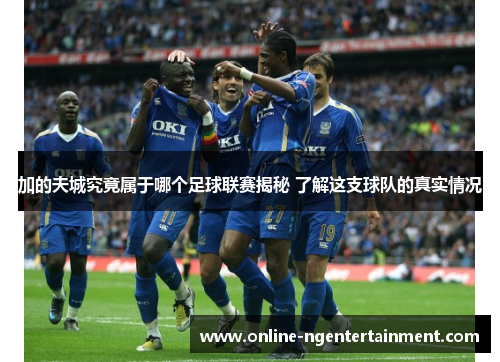 加的夫城究竟属于哪个足球联赛揭秘 了解这支球队的真实情况